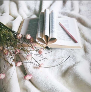 Instagrambild Anna Carlé